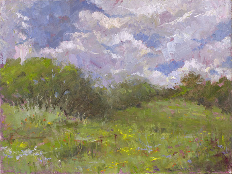 Field With Clouds 9x12
